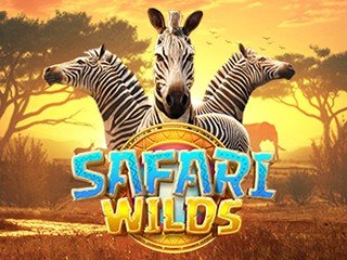 Safari Wild